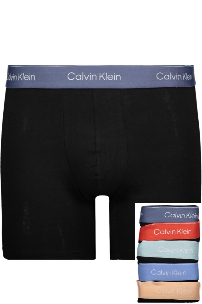 BOXER BRIEF 5PK LV00NB4395 BVIN, MTN, ST BL, GLCR, M FR WBS